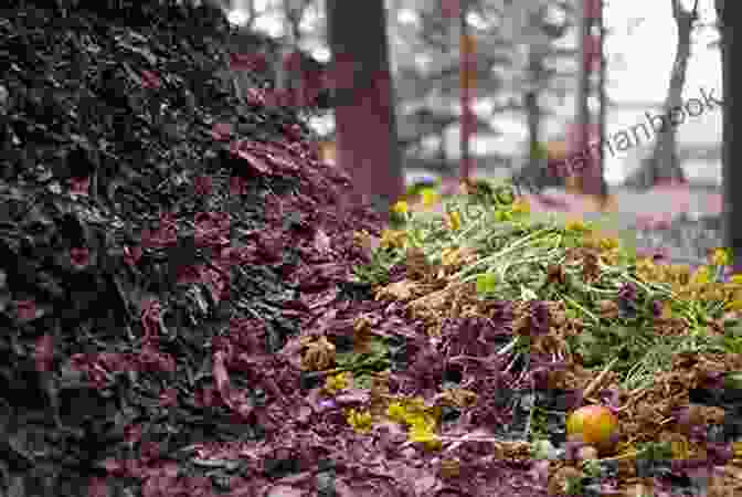 A Photo Of A Compost Pile Compost Everything: The Good Guide To Extreme Composting