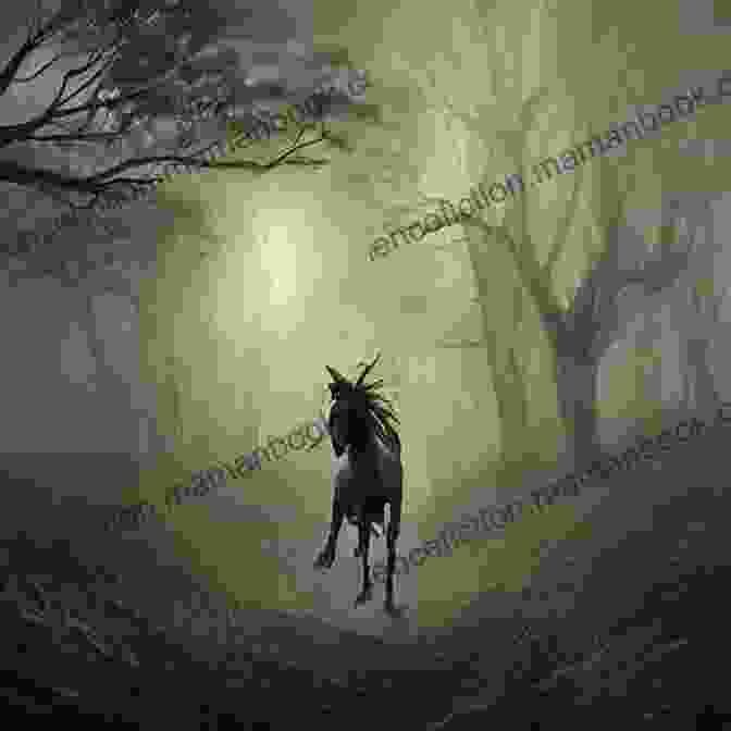 A Solitary Horseman Riding Through A Misty Field The West Country Trilogy Tim Pears