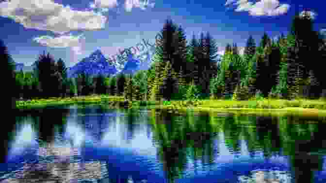 Beautiful Nature Scene Reflecting On Tranquil Water 50 Out Of 50 Quotes And Random Musings Of Ajala