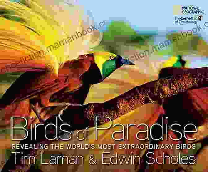 Birds Of Paradise Book Cover BIRDS OF PARADISE (Bill Smith/Lydia Chin Short Stories)