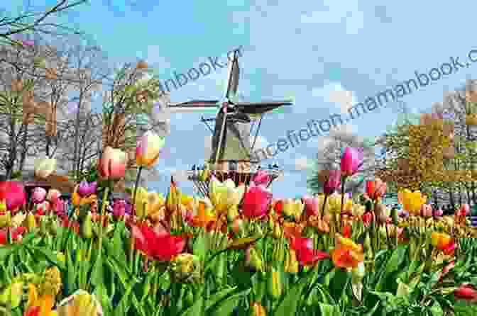 Image Of A Dutch Tulip Field During The Tulip Mania Manias Panics And Crashes: A History Of Financial Crises Seventh Edition