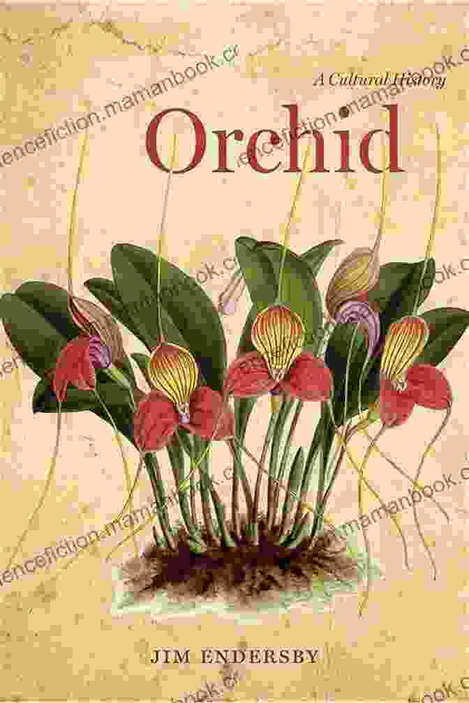 Jim Endersby Hybridizing Orchids In His Greenhouse Orchid: A Cultural History Jim Endersby