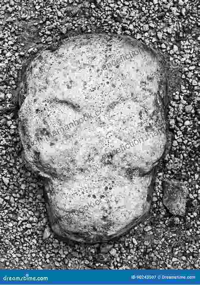 Photograph Of The Stone In The Skull, A Large, Smooth, Oval Stone Embedded In A Human Skull The Stone In The Skull: The Lotus Kingdoms One